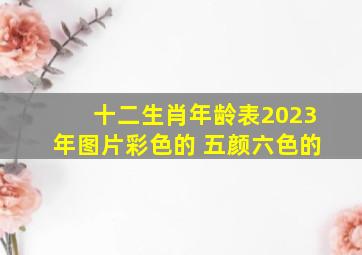 十二生肖年龄表2023年图片彩色的 五颜六色的